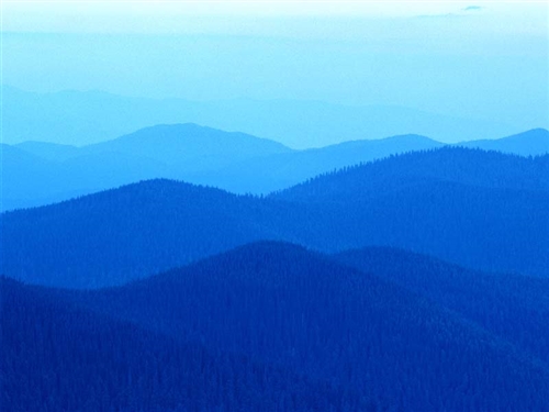 公司风景